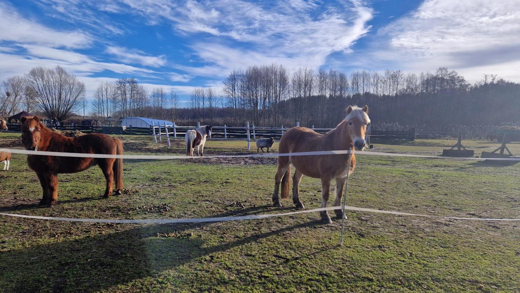 Rancho Colorado Villa Trzciel Dış mekan fotoğraf