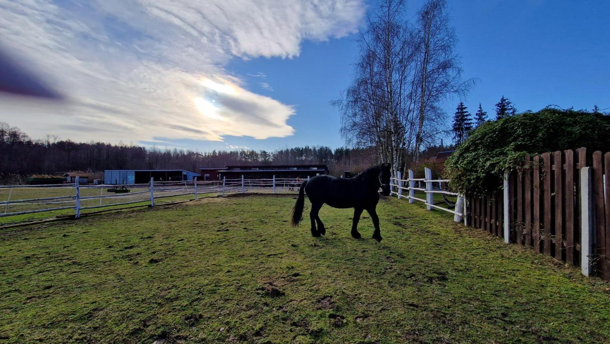 Rancho Colorado Villa Trzciel Dış mekan fotoğraf