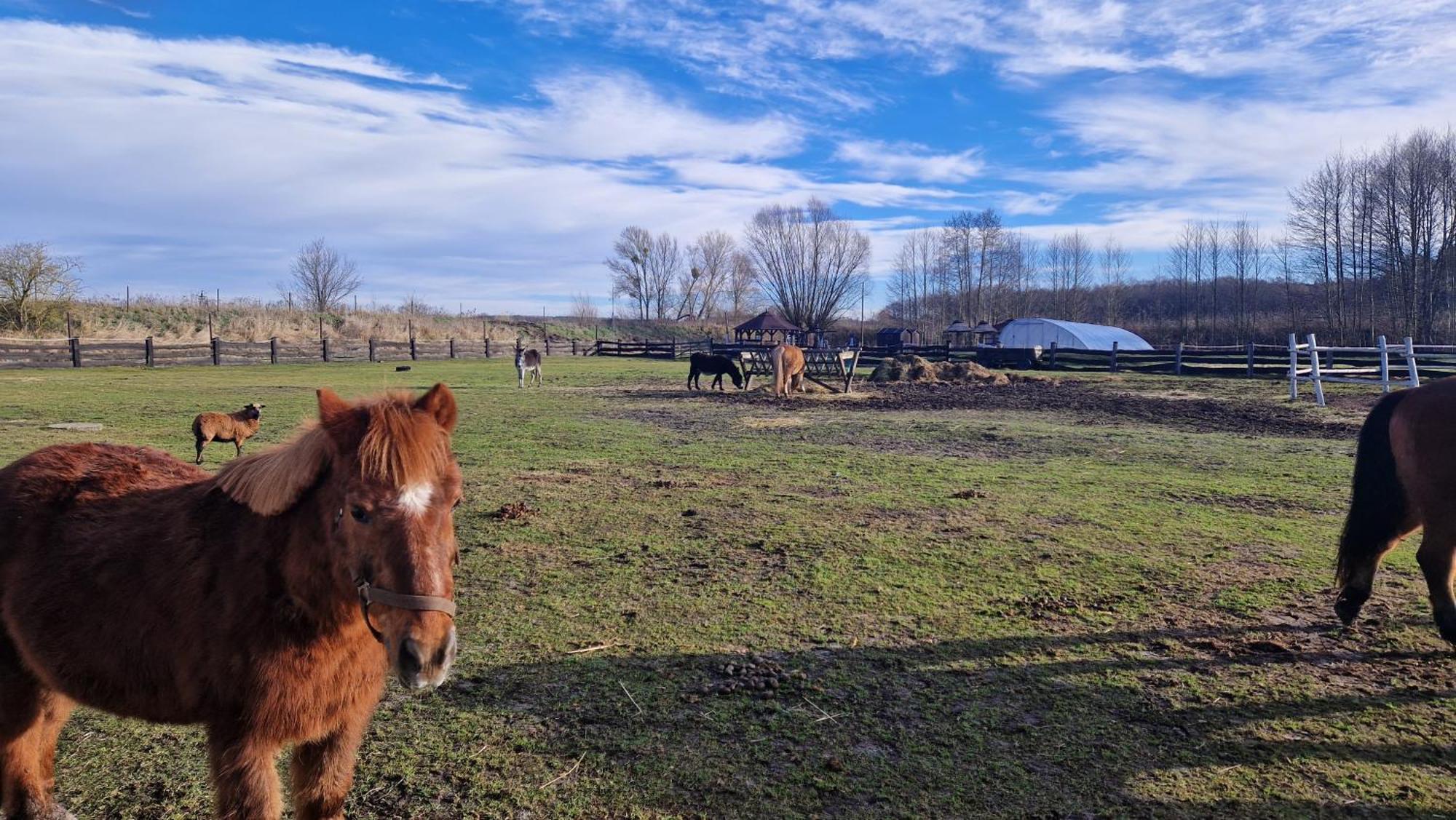 Rancho Colorado Villa Trzciel Dış mekan fotoğraf