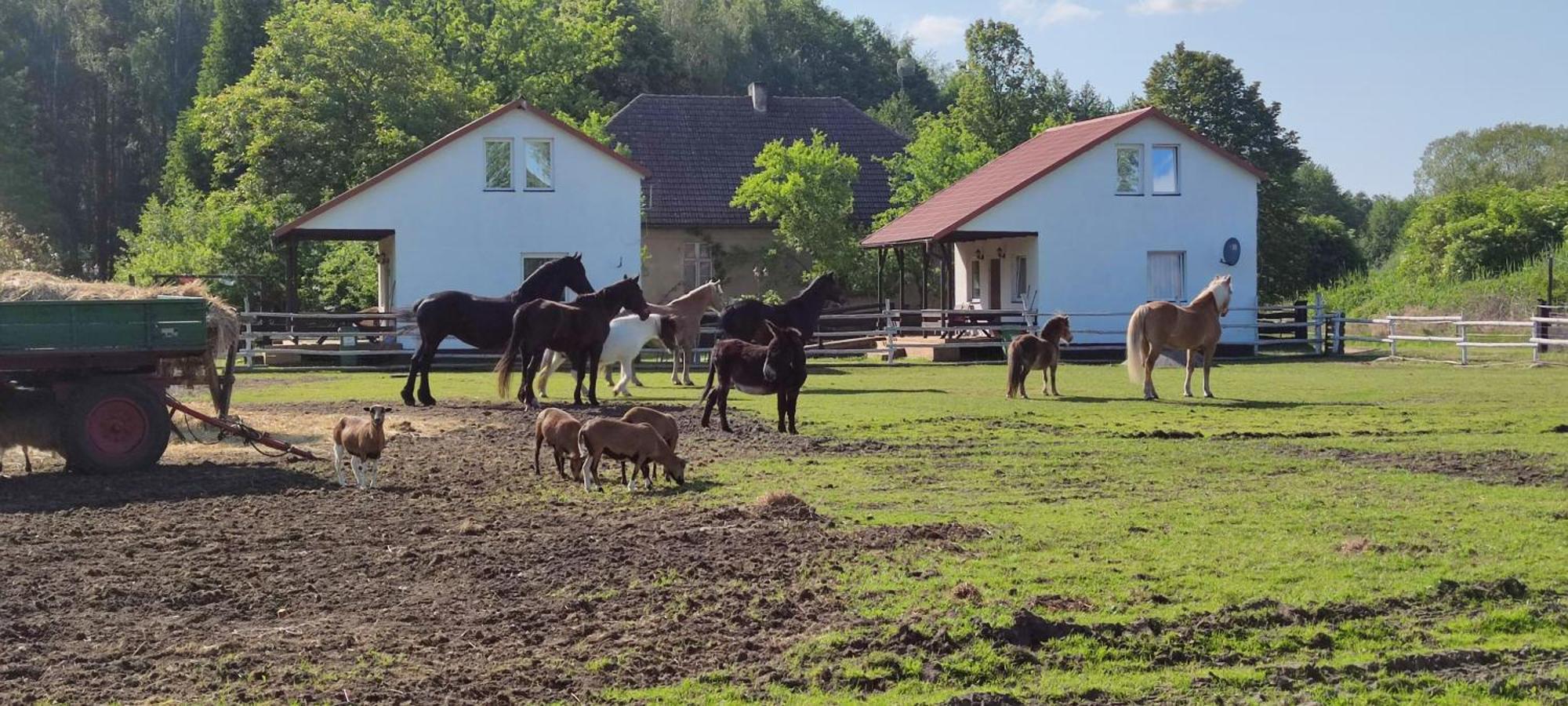 Rancho Colorado Villa Trzciel Dış mekan fotoğraf