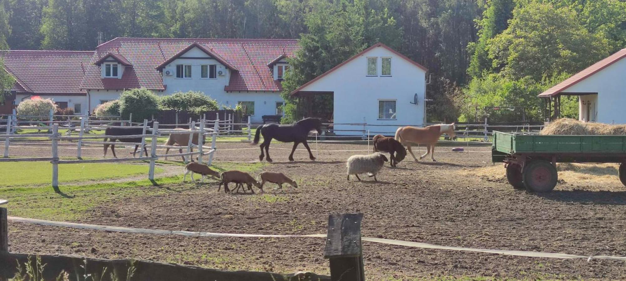 Rancho Colorado Villa Trzciel Dış mekan fotoğraf